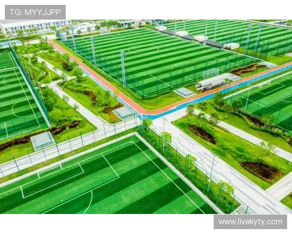 畅谈凯发体育登录对体育爱好者的意义与影响