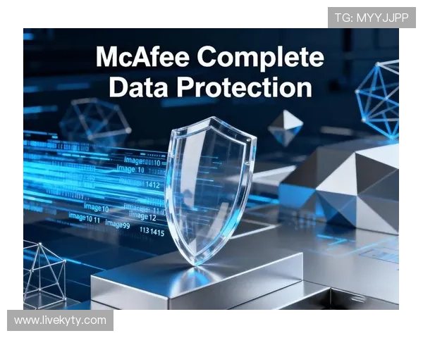 凯发k8娱乐官方注重用户隐私保护，采用先进的加密技术，保障每一位玩家的个人信息安全