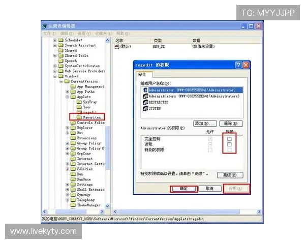 凯发网娱乐下载流程详解,轻松掌握快速注册与登录技巧