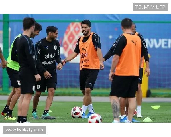 如何通过K8体育网址快速访问最新赛事信息，提升你的体育观赛体验和投注效率